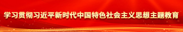 回族少妇啊啊啊视频在线观看学习贯彻习近平新时代中国特色社会主义思想主题教育